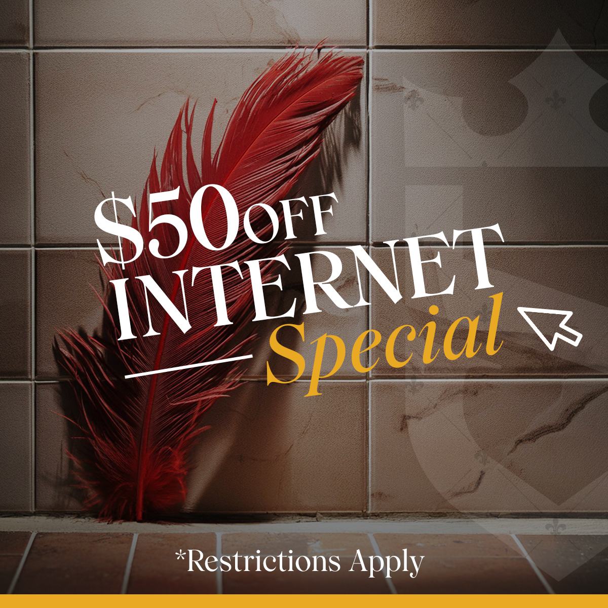 $50 off Internet Special